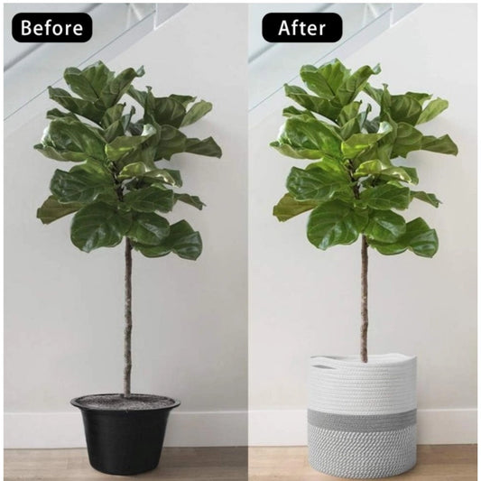 Generic Cotton Large Woven Storage Basket 11x11 Inch Pack of 1 (Grey White)