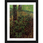Generic Undergrowth in the Garden 1887 Painting With Wood Photo Frame (Multicolor)